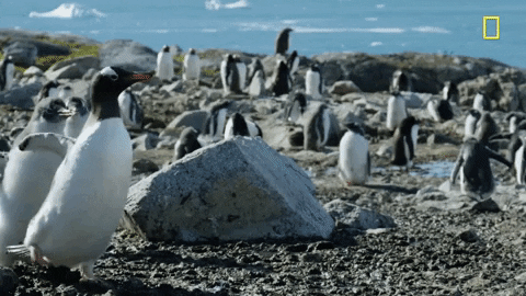 Linternals: Exploring The mm Subsystem via mmap [0x02]